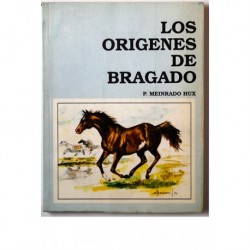 Los orígenes de Bragado.